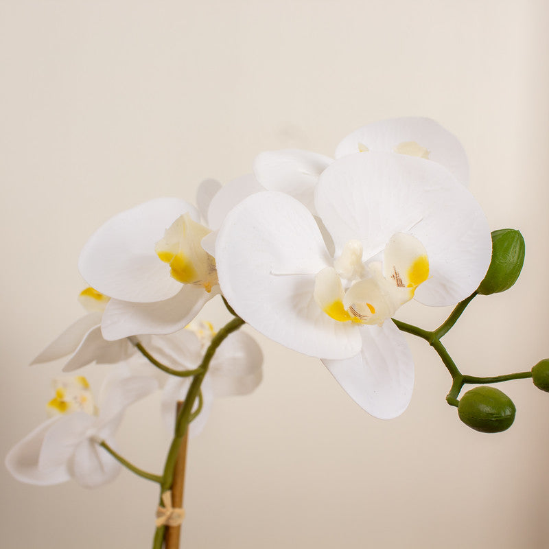 51cm Real Touch Single stem White Phalaenopsis Orchid in Pot